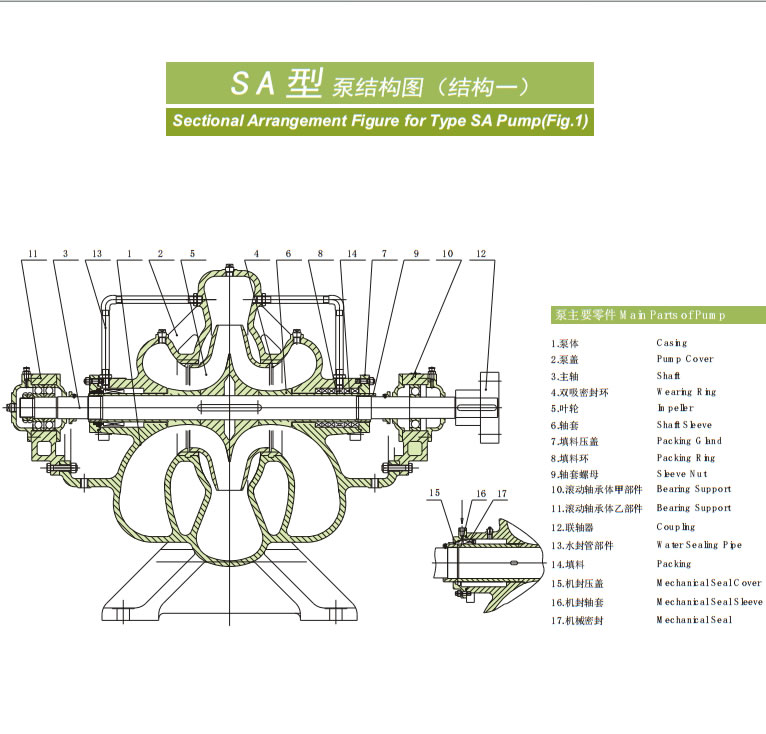 SA结构1(Fig.1).jpg